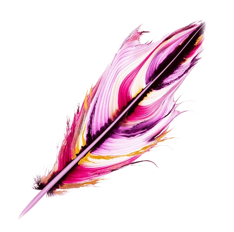 柔软羽毛素材图片大全