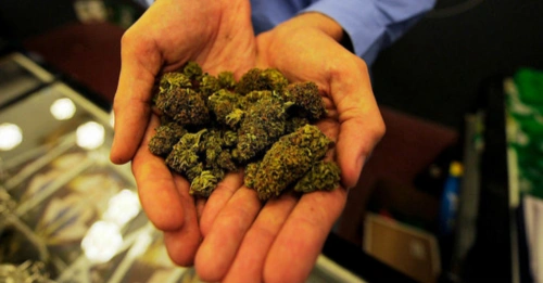 硅谷新生意 网购大麻