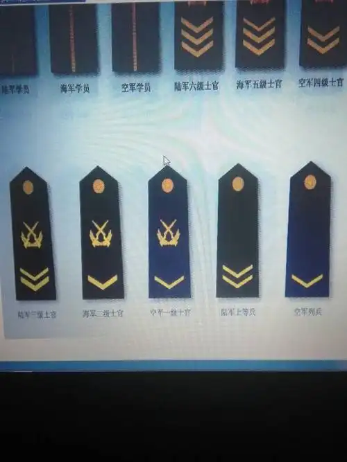 谁知道这是几级士官