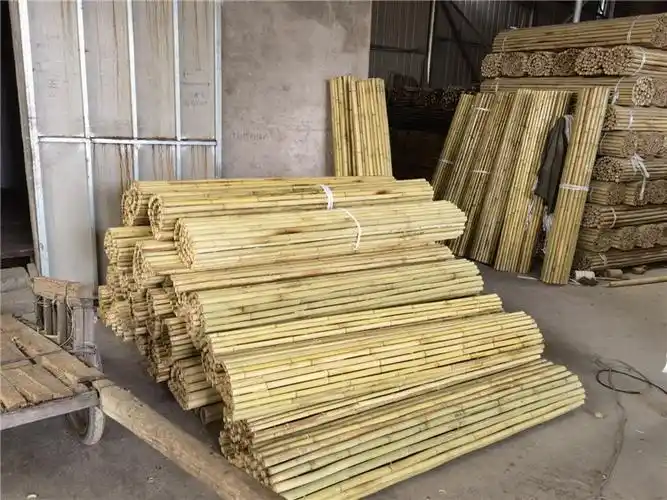 装修白竹竿大棚竹杆竹栅栏竹篱笆干竹子楠竹毛竹竹干白竹