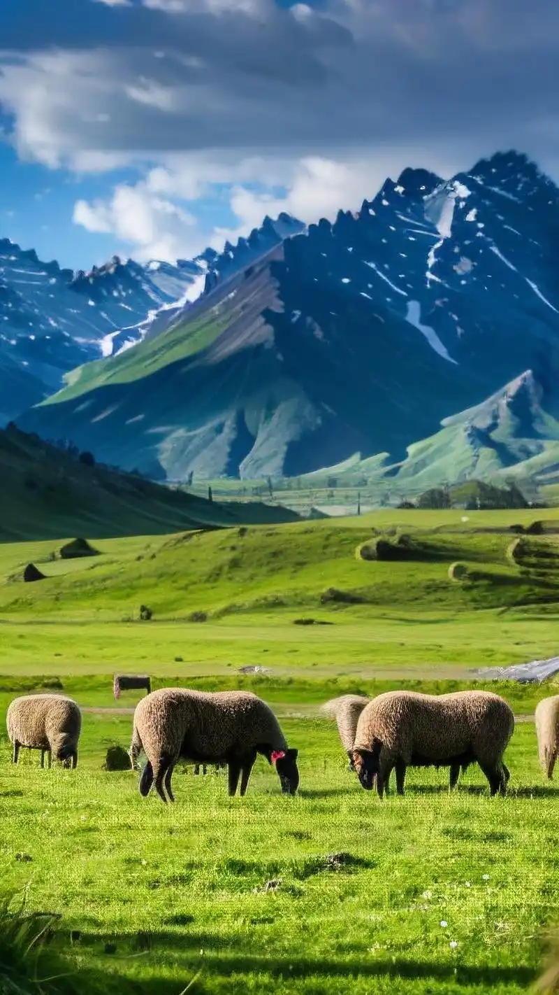 那就来试试这些绿色护眼草原壁纸吧!