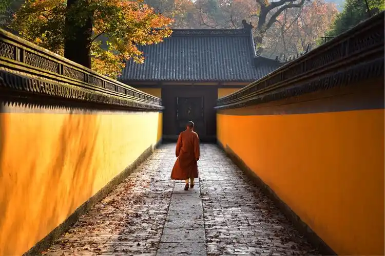 变成了很和谐的一幅画,是不是有世间安得双全法,不负如来不负卿的意境