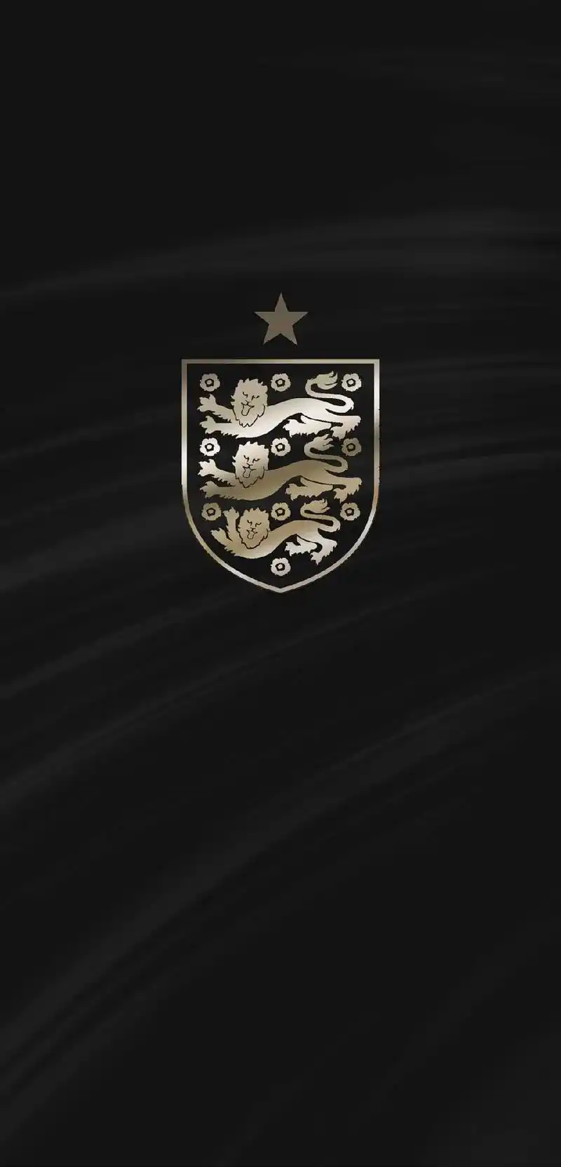 2022卡塔尔世界杯b组黑金壁纸