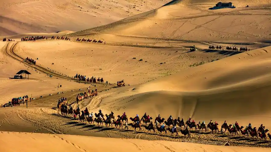 丝绸之路 - 北方的狼_ - 图虫