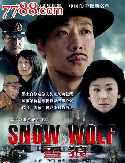 dvd大型谍战电视连续剧《雪狼》主演:辛柏青,苗圃,刘文治,施京明
