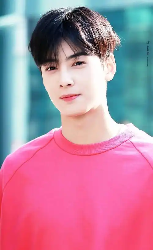 车银优的清新笑容和俊逸外貌让他在国外娱乐圈迅速崭露头角.