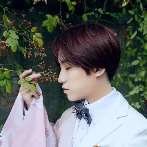 张寻傲剑似雪无心纯歌版