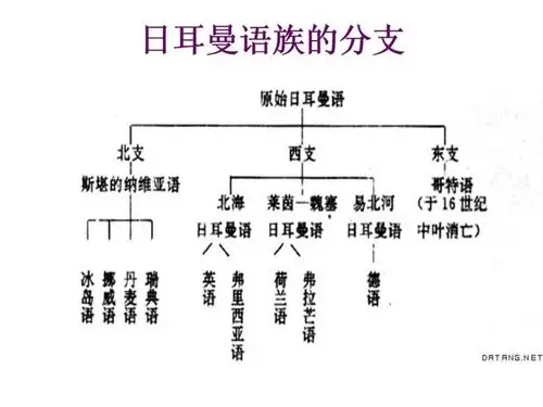 语言系属分类的简介