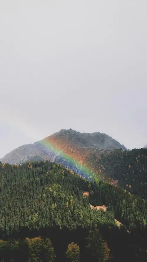 遇见彩虹好心情唯美手机壁纸-风景-手机壁纸下载-美桌网