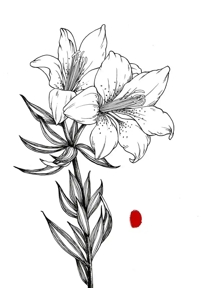 百合花手绘绘画步骤教程图