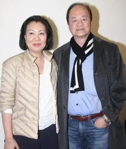 幸好只有车辆轻微损毁,狄龙和妻子陶敏明也没有受伤