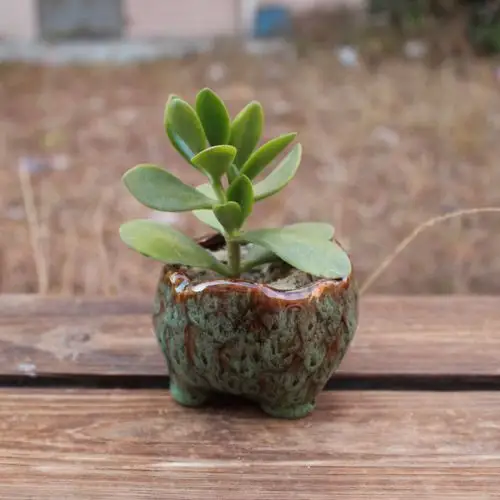 多肉植物花盆12055精美时尚窑变釉陶瓷花盆园艺盆栽花盆厂家批发