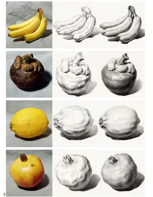 素描静物单体水果蔬果步骤图范例