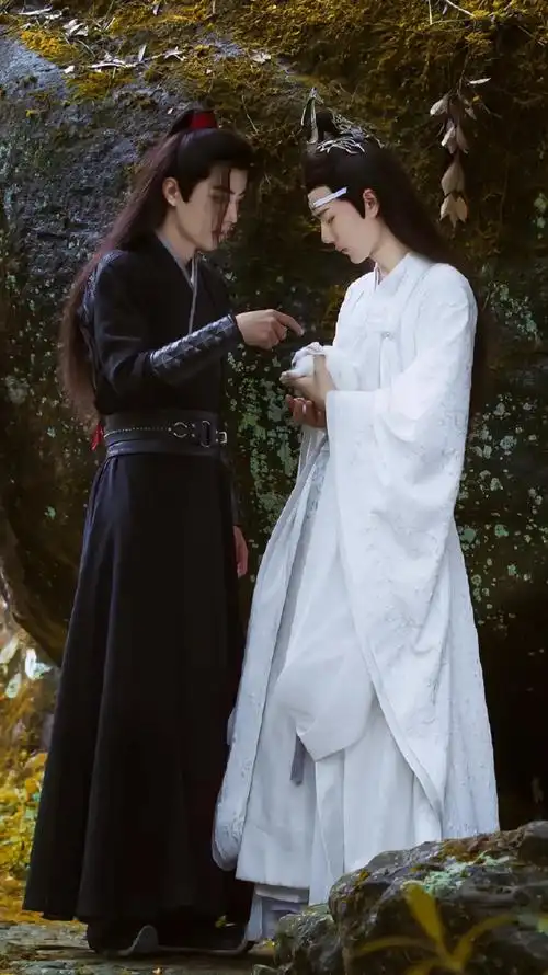 博君一肖##陈情令