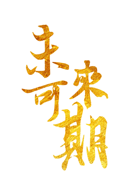 我们的日照未来可期