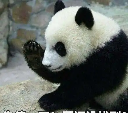 搞笑是时候吸一波熊猫了表情包,你说什么