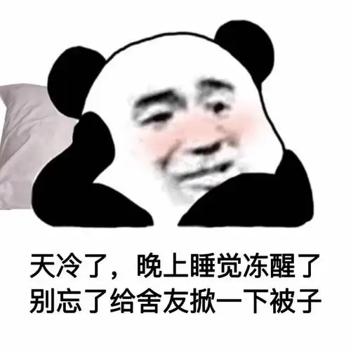 天冷了晚上睡觉冻醒了别忘了给舍友掀一下被子熊猫头表情包冻醒舍友