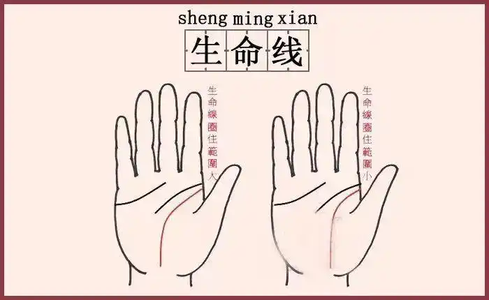 生命线若圈起的掌丘范围较大,代表你的身体比较健康,不易生病.