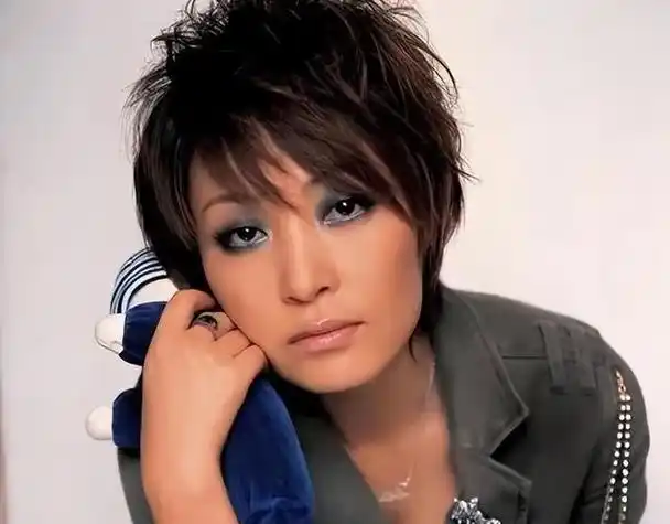 《两个人的世界》这首歌不仅是杨坤的音乐魅力展现,更是一段与陈琳的