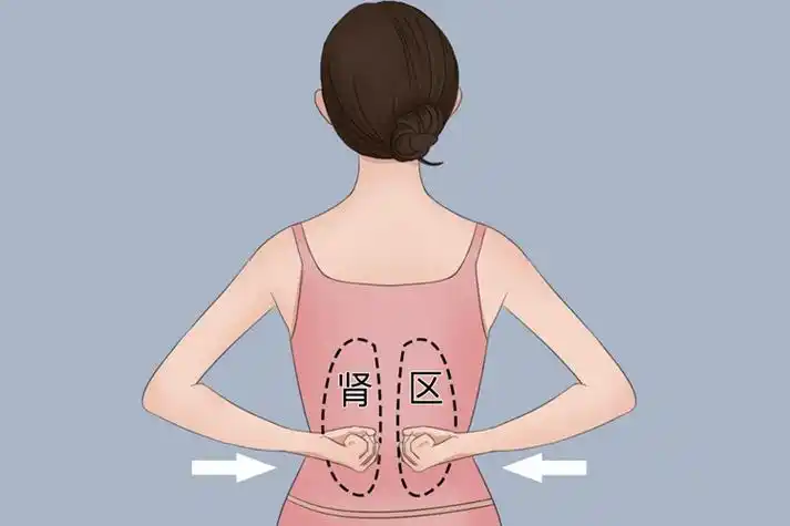 肾囊肿疼痛部位图