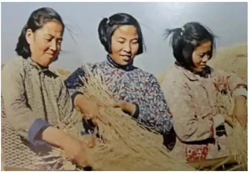 一把草"的赤脚医生,把中医的古老智慧运用到肝脏肿瘤的治疗中;70年代