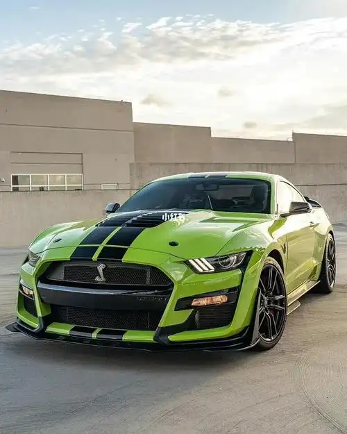 福特野马谢尔比眼镜蛇gt500