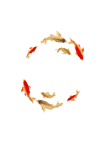 200_315gif 动态图 动图