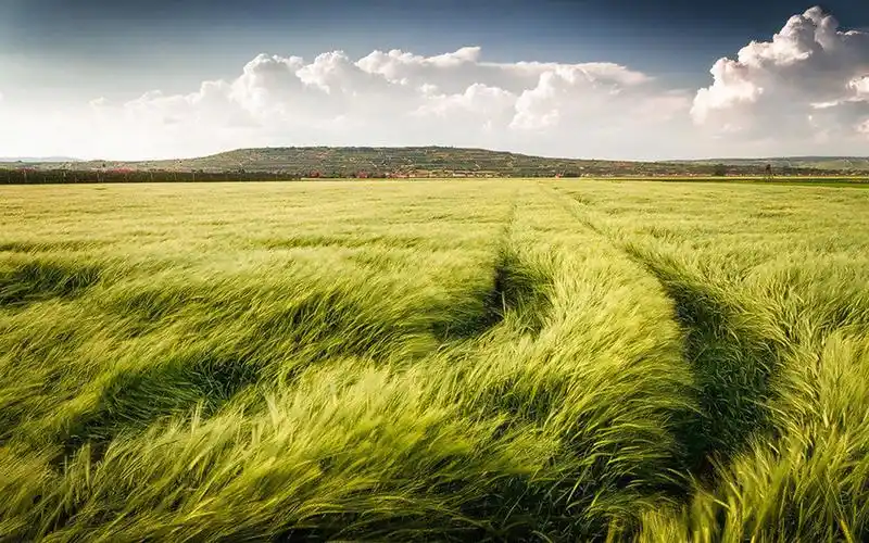 清新怡人自然风景1600x1200分辨率下载,清新怡人自然风景,高清图片