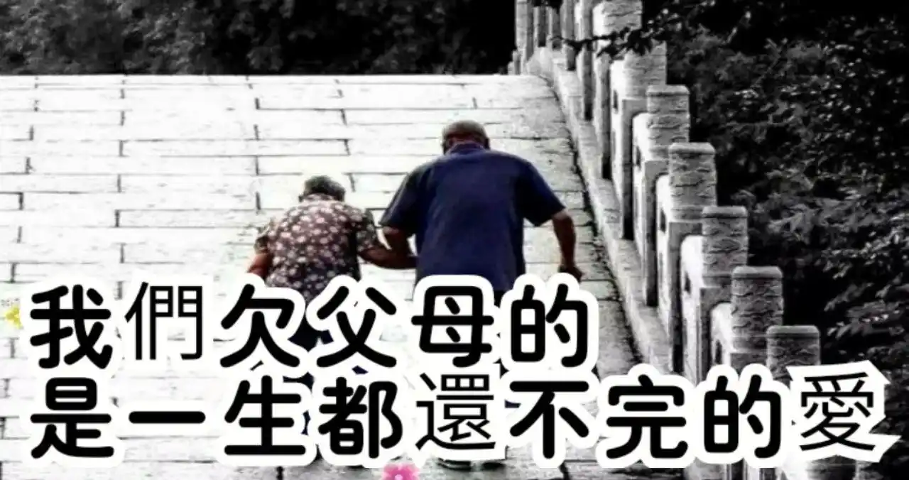 我们欠父母的,是一生都还不完的爱