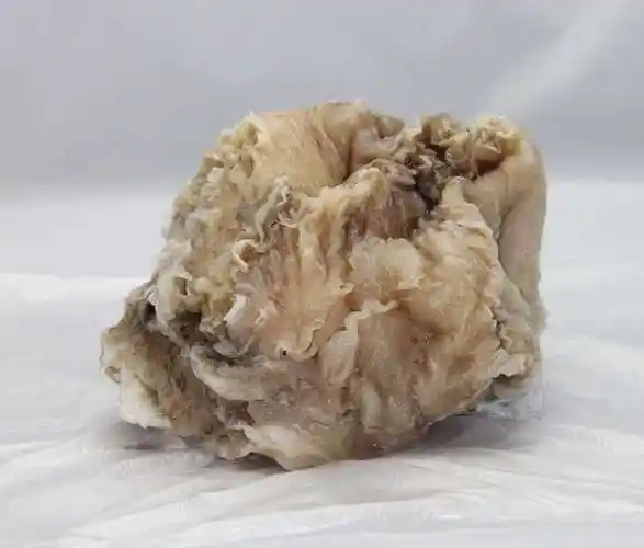 很多人因为电视或小说的影响,都是觉得"太岁"是虚无缥缈的东西,带一些