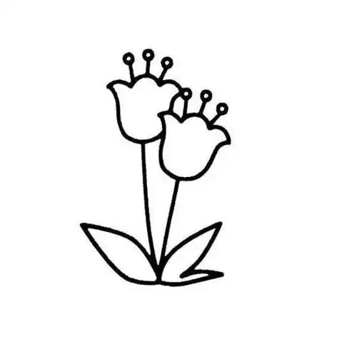 1000种简笔画植物 植物简笔画图片大全