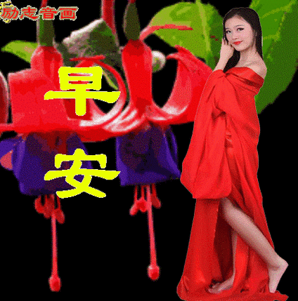 十五发朋友圈不用打字就可以聊天的图片「正月十五专辑(上)」