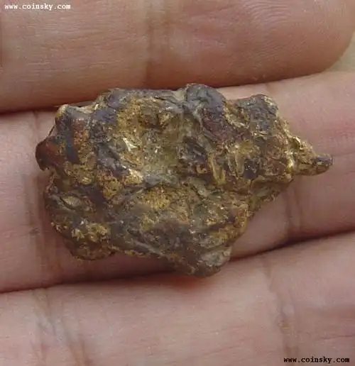 狗头金天然形成的自然金