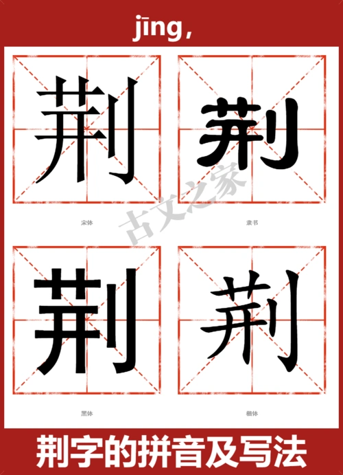 荆的拼音怎么读