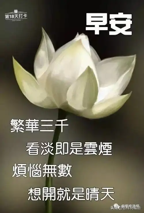 早上好动态图片带字和鲜花 早上好图片大全 - 早安心语- 不二励志语录