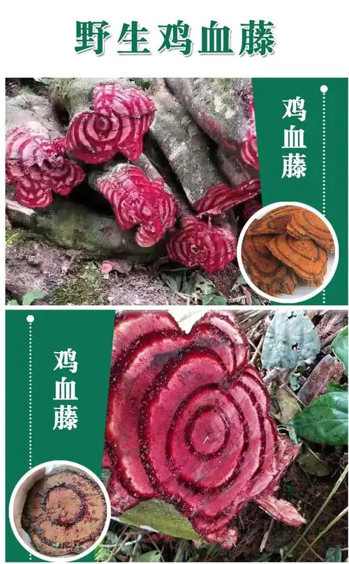 广西正宗鸡血藤金秀优质鸡血藤切片天然药材鸡血藤干片