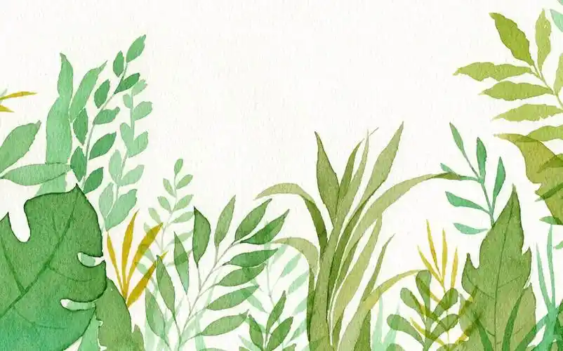 简易版水彩画简易水彩画图片大全