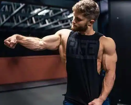 手臂的肌肉主要由小臂肌群,肱三头肌和肱二头肌组成