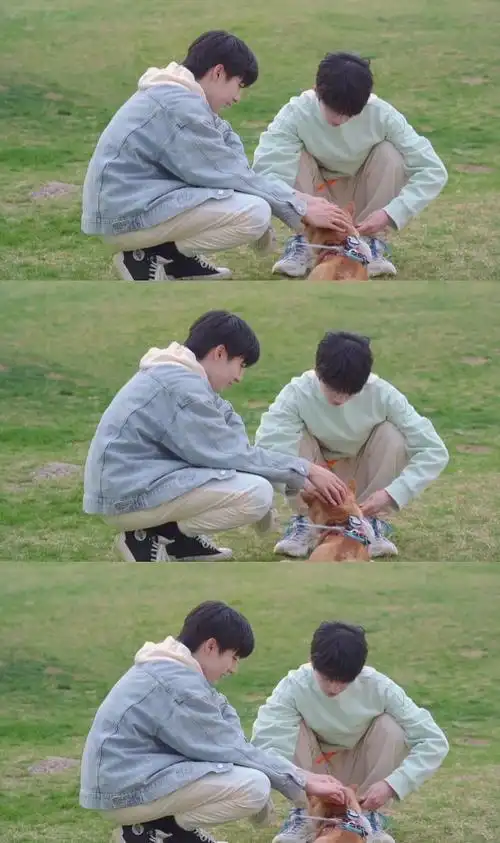 严浩翔贺峻霖重逢