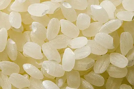 稻米图片_稻米图片大全_稻米图片素材