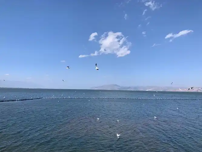 彩云之旅……大理实力希尔顿