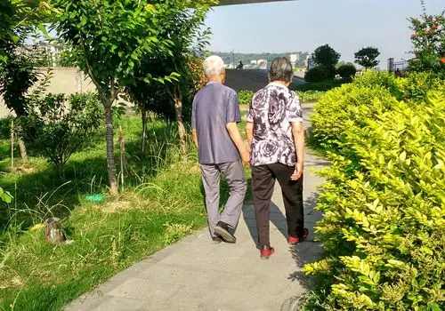 看着父亲在花海中散步的背影,生活中的一幕幕在我脑海里浮现.