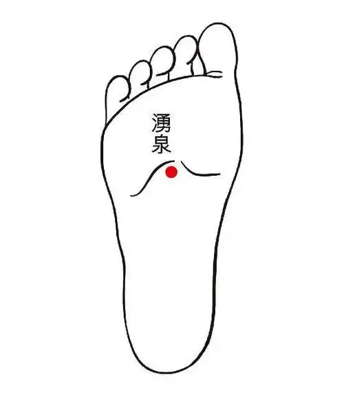 涌泉穴:前脚掌1/3的凹陷处