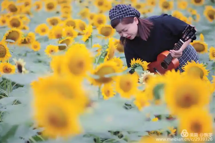 明天开始 做一株积极的向日葵 仰起头 仰起挂满天空的阳光 不必因为