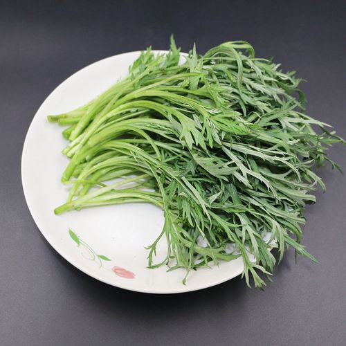 长白山野菜柳蒿芽新鲜水蒿蘸酱菜500克满2份包邮