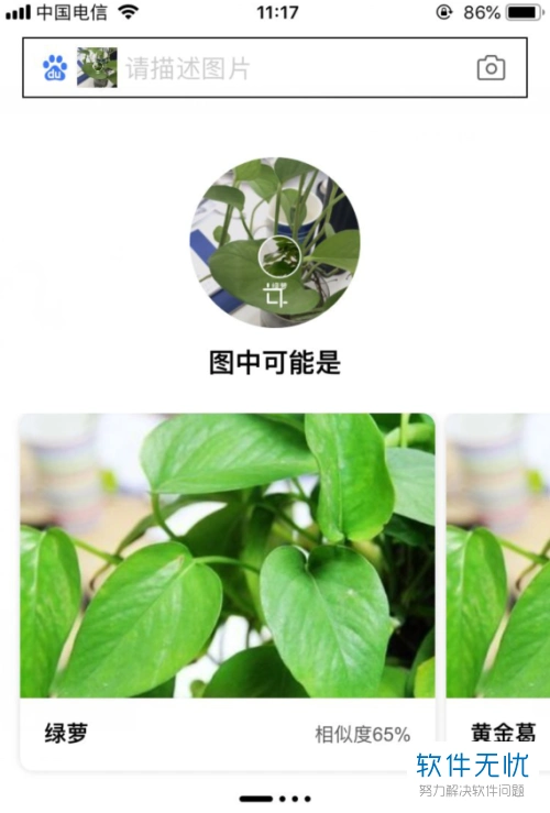 百度植物识图花