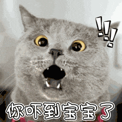 萌宠 喵星人 你吓到宝宝了 惊吓 呆萌 大吃一惊