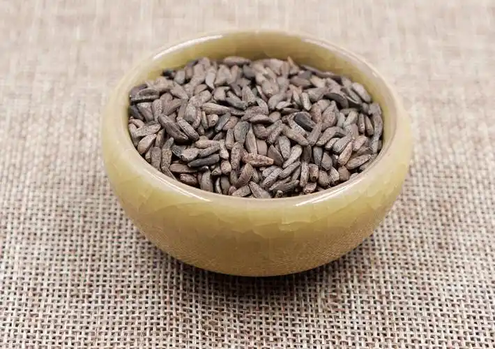 炒牛蒡子 一手货源 规格齐全 承接诊所药房医院单 支持检测