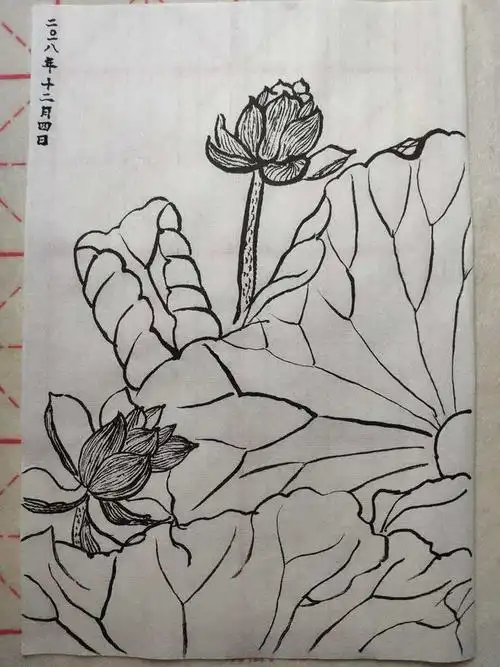 今天你画画了吗继续画毛笔白描荷花03