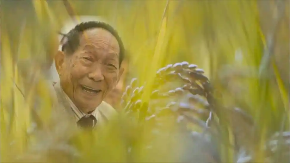 全球连线袁隆平整个世界都会记住您